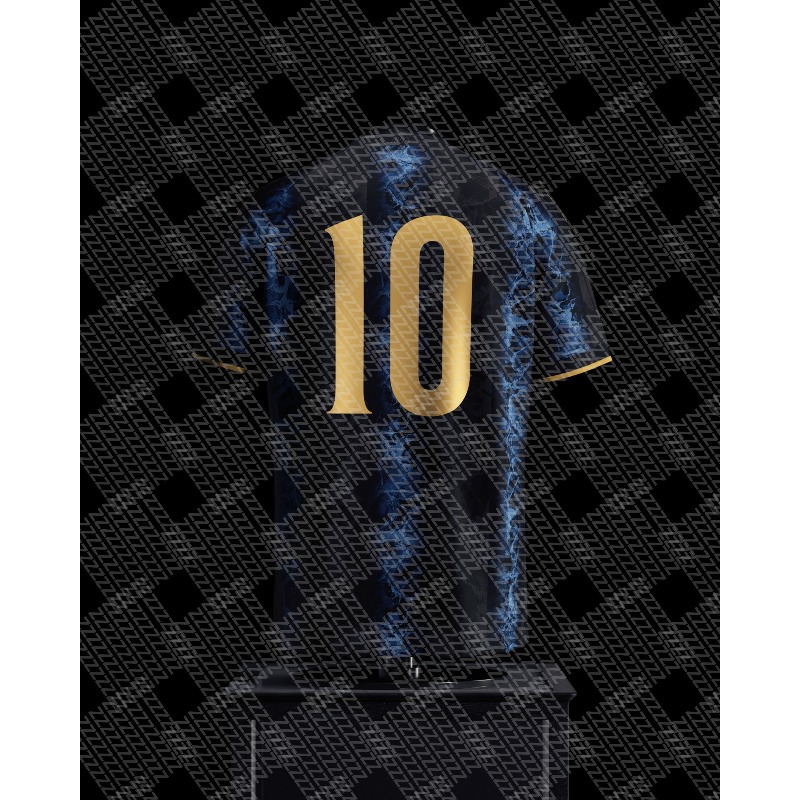 Assisting in World Football Ev - 3D Printing Solo review and price