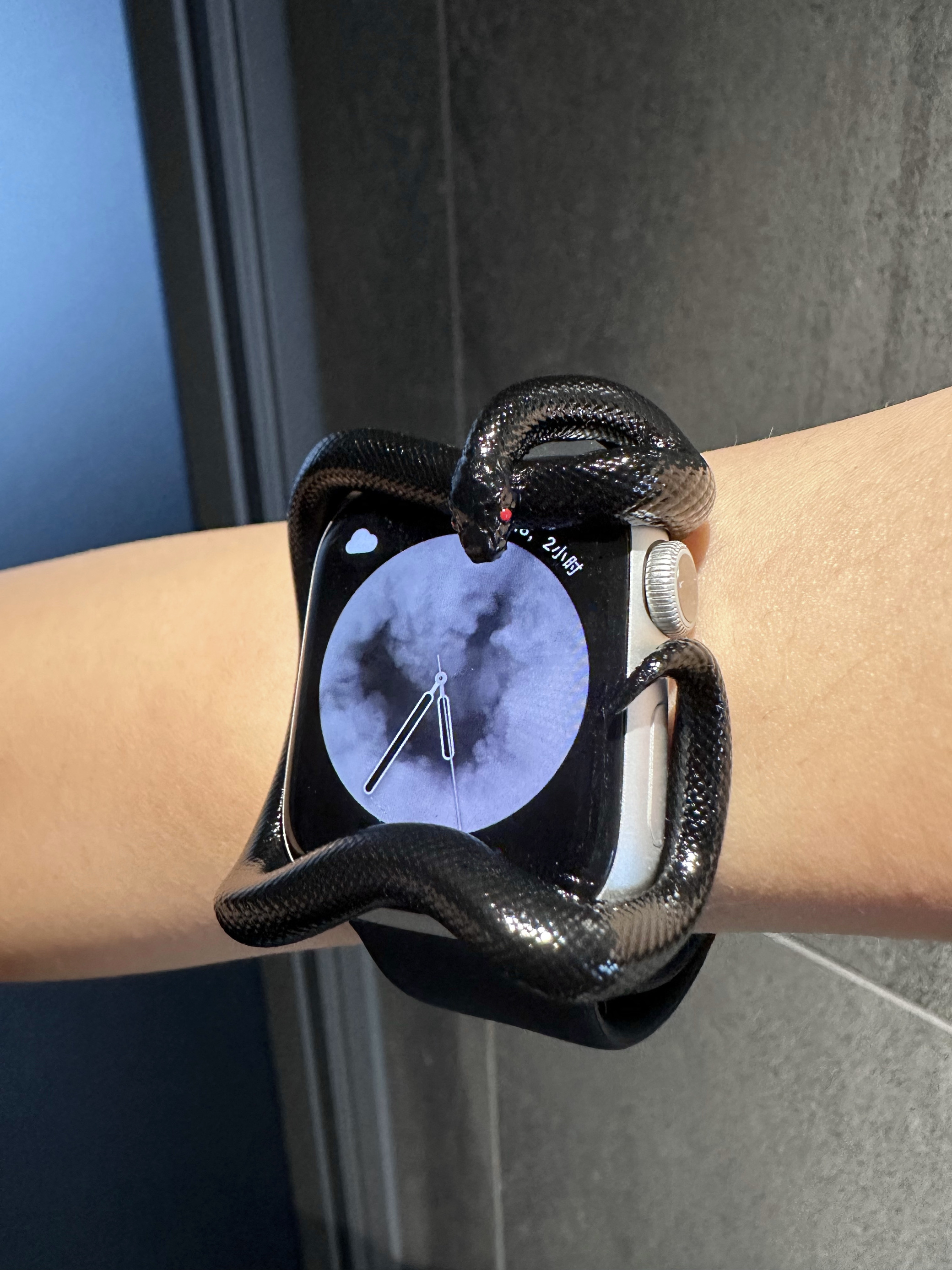 Snake Resin Material Watch Cas - 3D Printing Design Software review and price